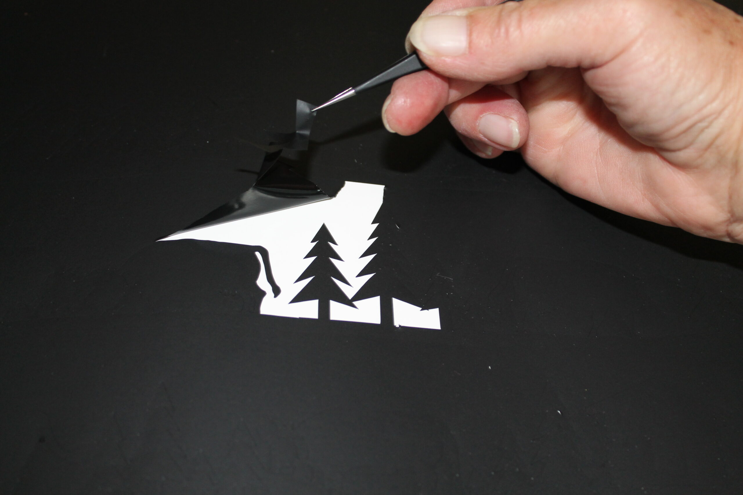 Frises "Chèvres" – Image 8