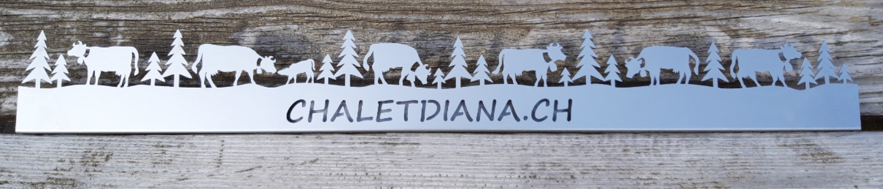 Frise Métal - Personnalisation sur demande