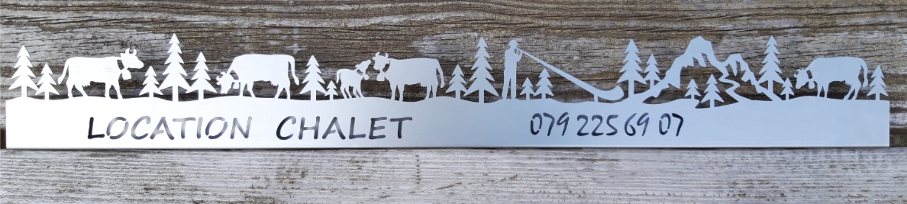 Frise Métal - Personnalisation sur demande – Image 3